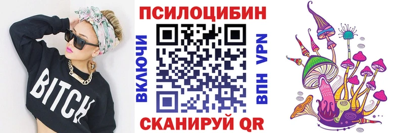 Галлюциногенные грибы Psilocybine cubensis Белозерск
