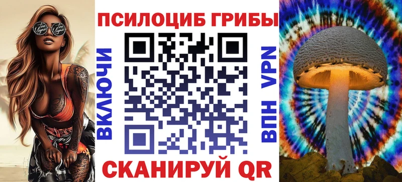 Псилоцибиновые грибы прущие грибы  Белозерск 